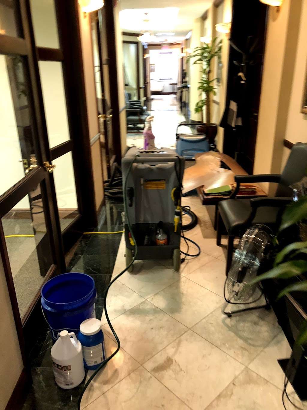 Coral Gables Carpet Cleaning & Restoration | 8430 SW 8th St, Miami, FL 33144 | Phone: (305) 771-1028