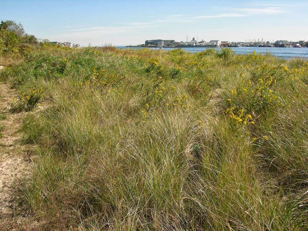 Fishermans Cove Conservation Area | 383 3rd Ave, Manasquan, NJ 08736, USA | Phone: (732) 922-4080