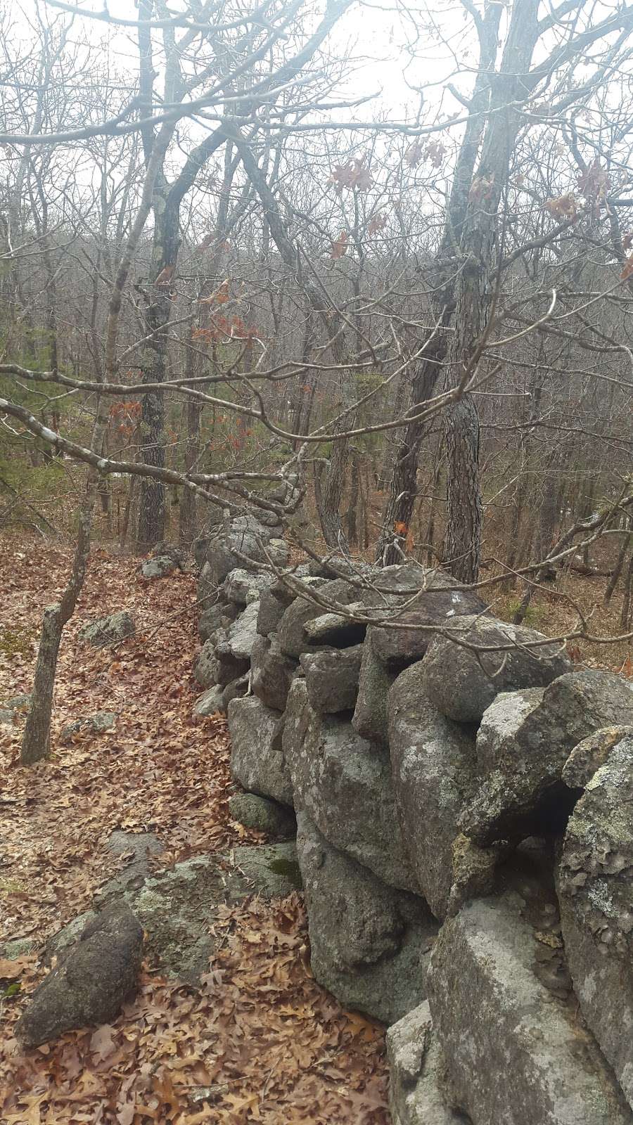 Greenbelt Hiking Trail | 60 Concord St, Gloucester, MA 01930, USA