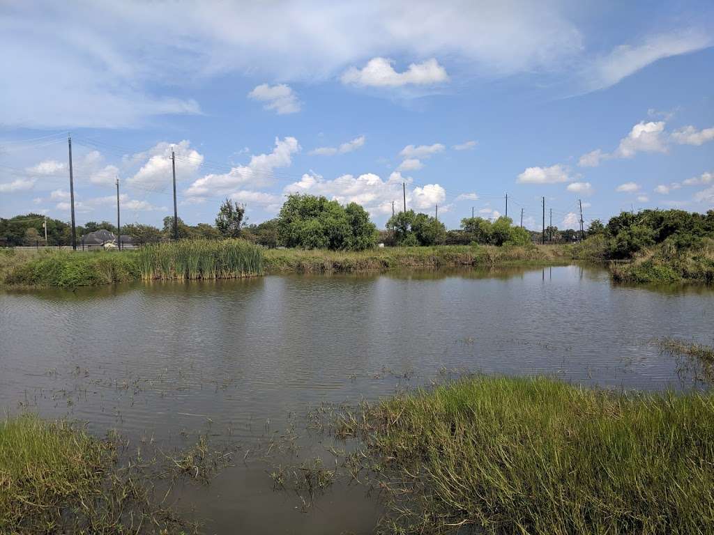 Wetlands Exhibit - Sea center | 980-1000 Medical Dr, Lake Jackson, TX 77566, USA