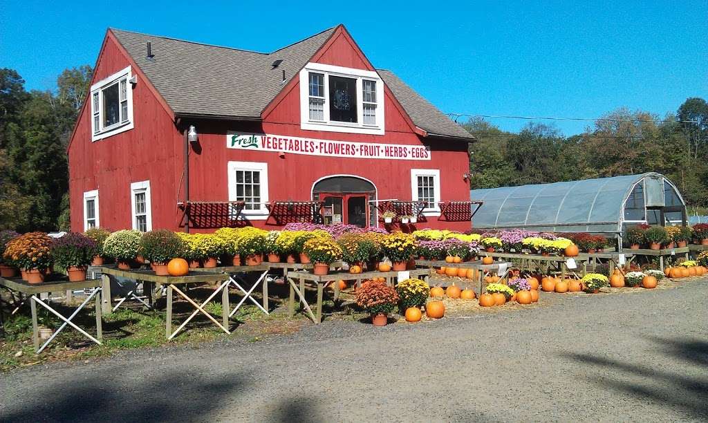 Holbrook Farm | 45 Turkey Plain Rd, Bethel, CT 06801, USA | Phone: (203) 792-0561