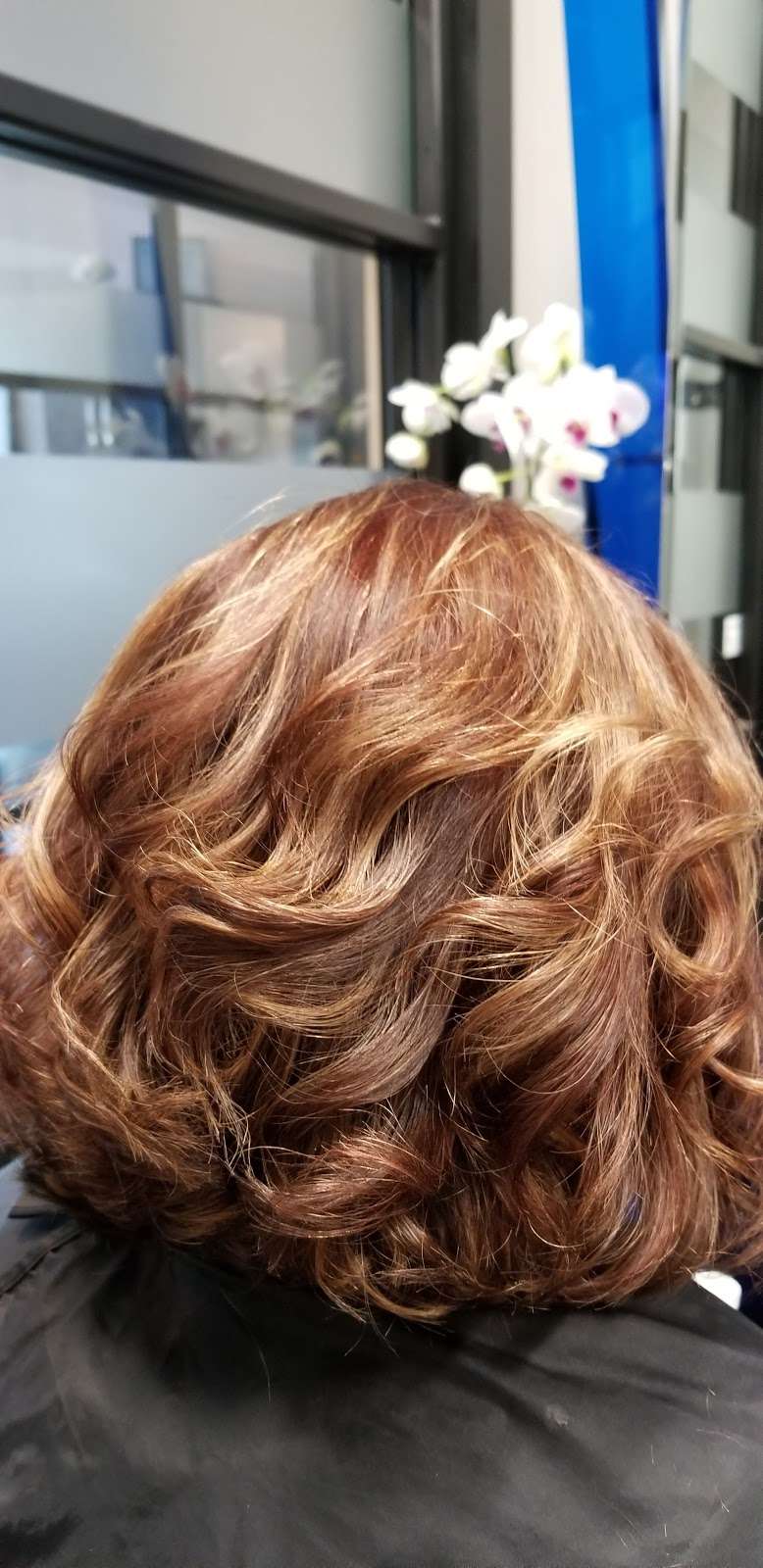 Blue Lion Salon Studios Richmond | 9107 Farm to Market Rd 723, Richmond, TX 77406, USA | Phone: (832) 520-1086