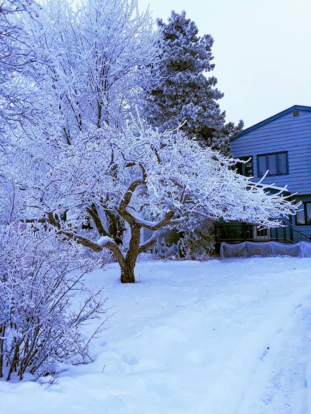 City Garden Bed & Breakfast | 1352 W 10th Ave, Anchorage, AK 99501 | Phone: (907) 276-8686