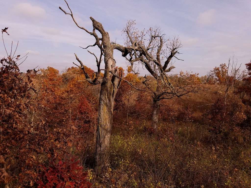 Eagle Centre Prairie State Natural Area | Eagle, WI 53119, USA | Phone: (888) 936-7463