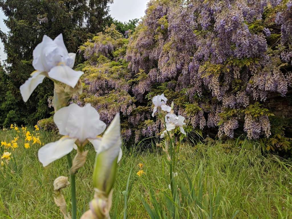 Within The Walls Garden Project | 9 B651, Whitwell, Hitchin SG4 8AF, UK | Phone: 07900 977653