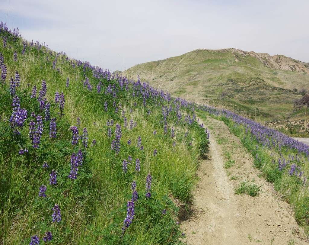 East Walker Ranch | 16723 Placerita Canyon Rd, Santa Clarita, CA 91321, USA