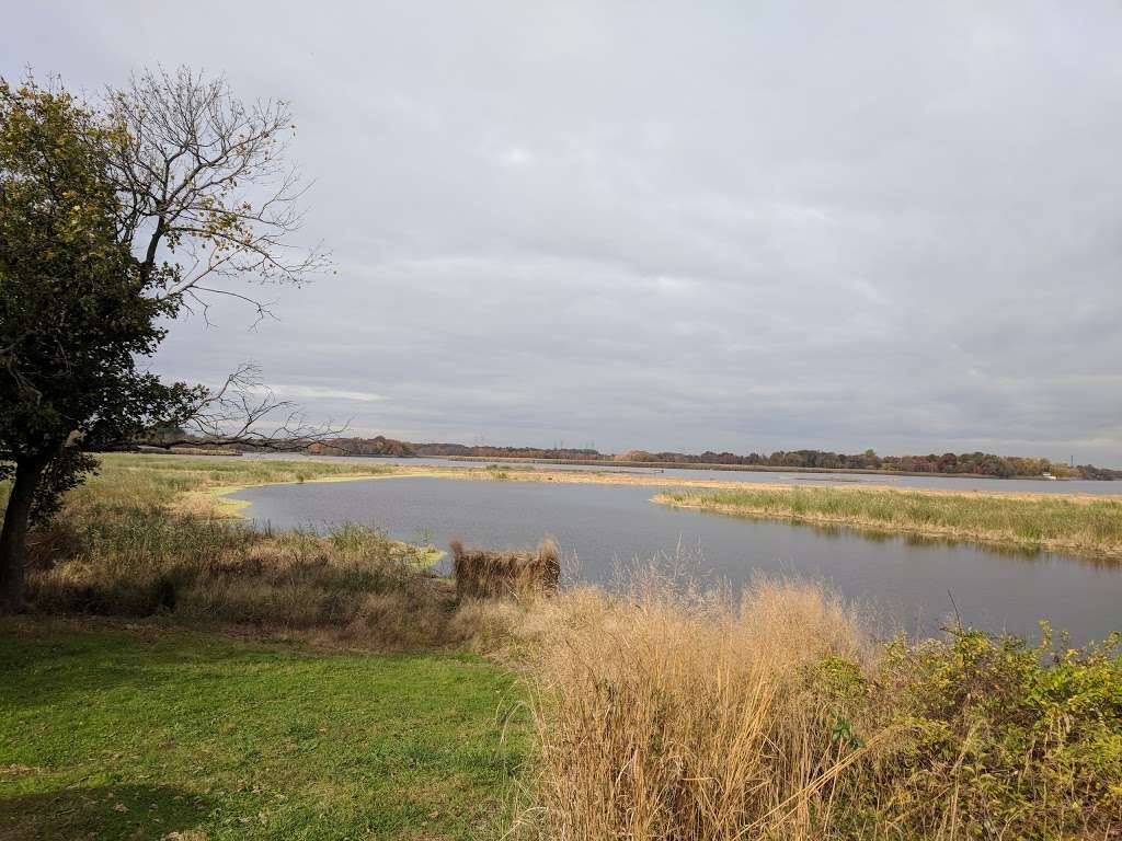 Ashton Tract - Augustine Wildlife Area | 507 Thorntown Rd, Middletown, DE 19709, USA