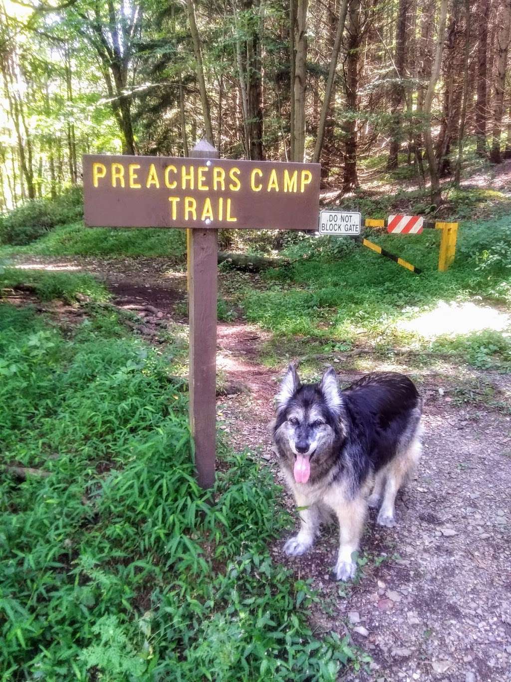 Preachers Camp Boat Launch, Beltzville State Park | 575-975 Preachers Camp Dr, Lehighton, PA 18235, USA | Phone: (610) 377-0045