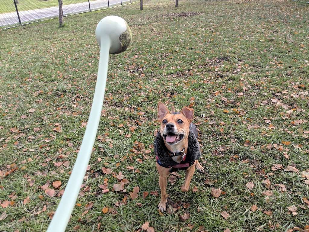 Edgewater Dog Park | 5800 N Lake Shore Dr, Chicago, IL 60660, USA