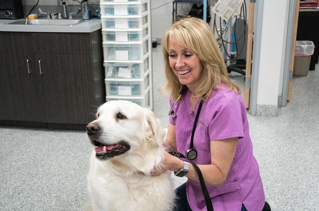 Anaheim Hills Pet Clinic | 5799 E La Palma Ave, Anaheim, CA 92807, USA | Phone: (714) 779-2101