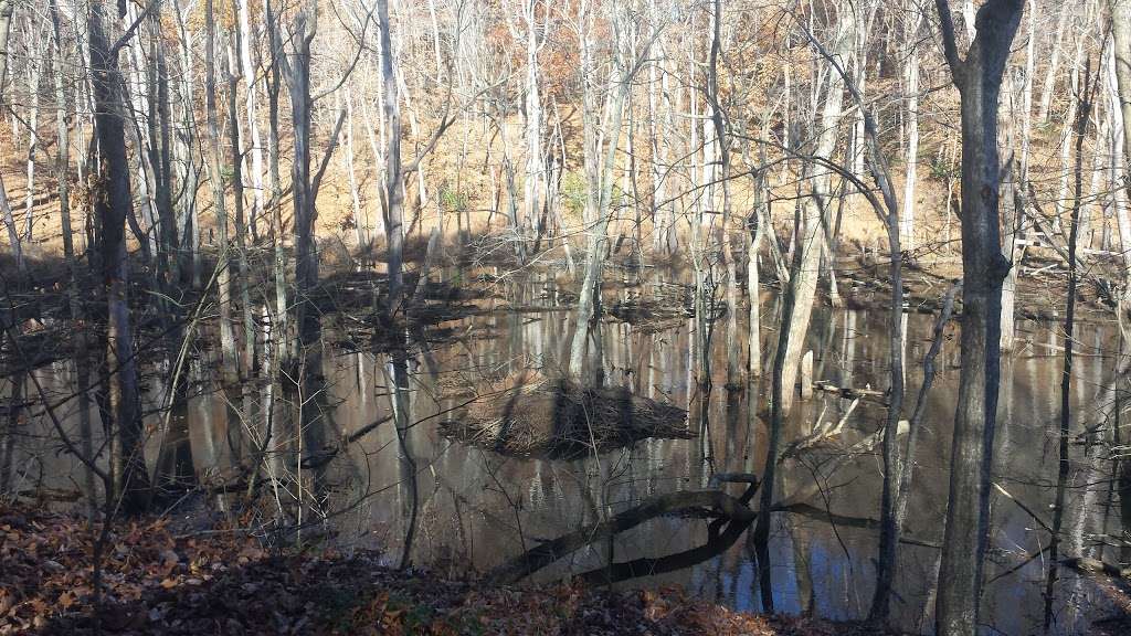 Horse Swamp | Prince Frederick, MD 20678, USA