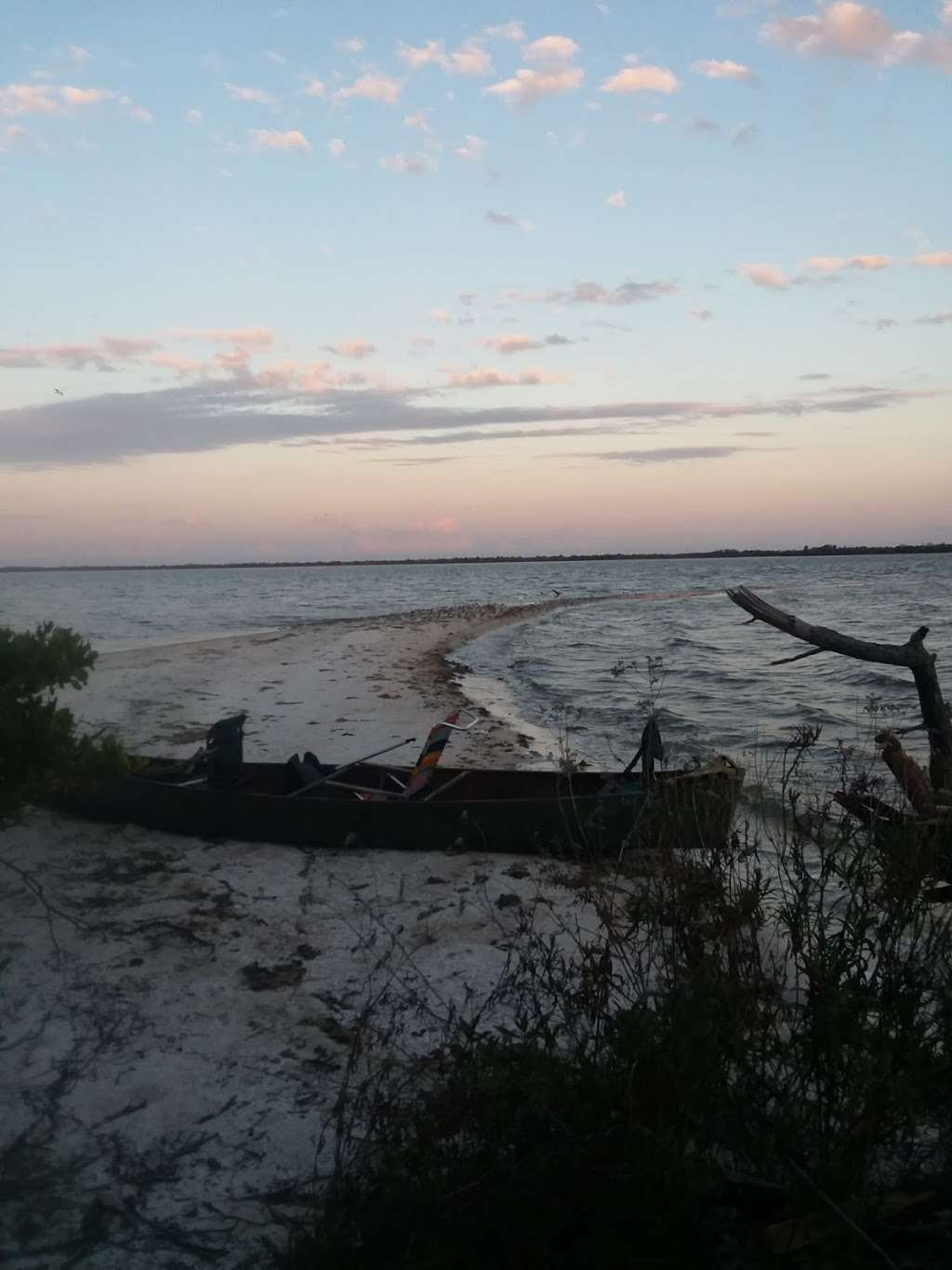 Horseshoe Crab Island | Titusville, FL 32796, USA