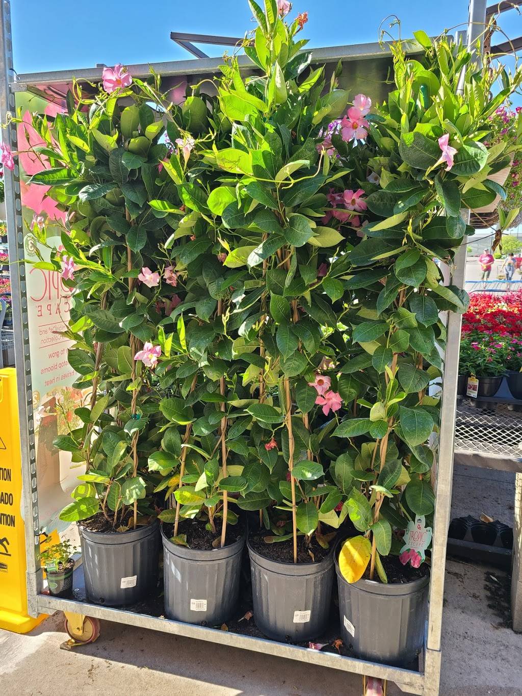 Garden Center | 11959 E Kellogg Dr N, Wichita, KS 67207, USA | Phone: (316) 684-3117