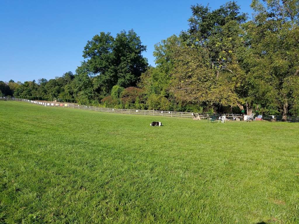 Vernon Dog Park | County Rd 517, Vernon Township, NJ 07462, USA | Phone: (201) 230-3973