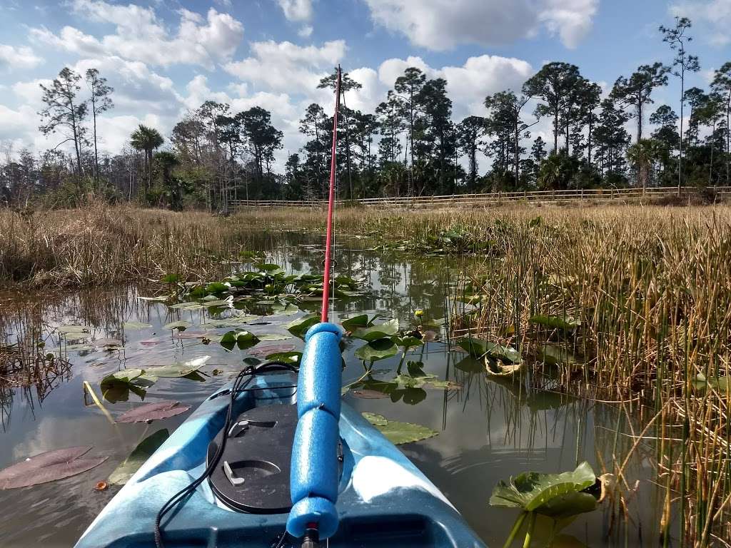 Cypress Creek South Natural Area | 9424 W Indiantown Rd, Jupiter, FL 33478, USA | Phone: (561) 233-2400