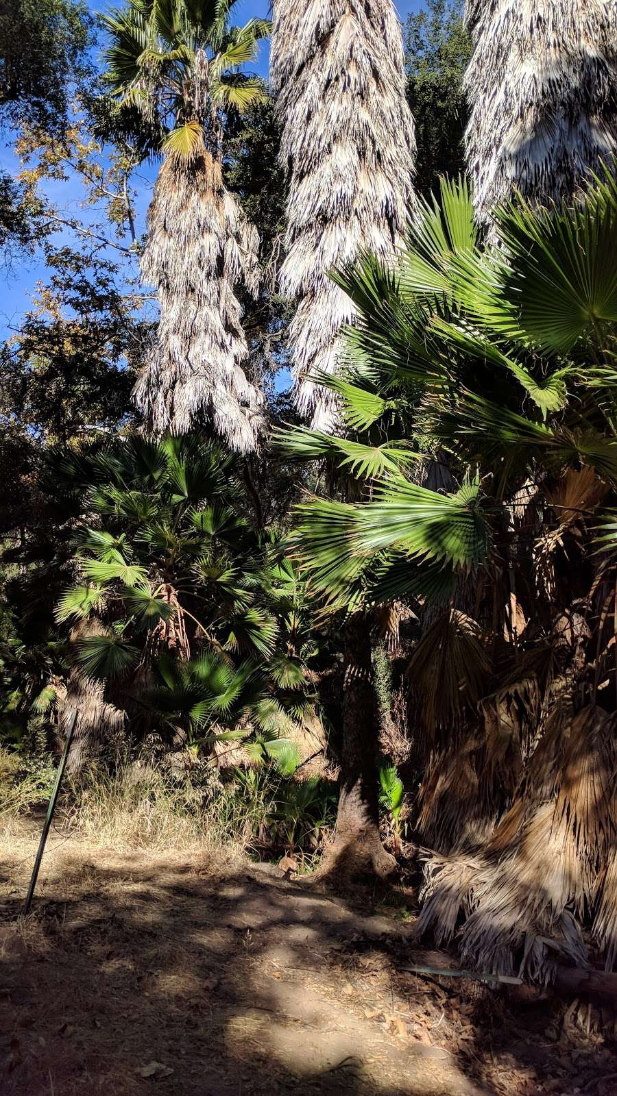 Bernardo Mountain Summit Trail - Access Road | Escondido, CA 92029, USA