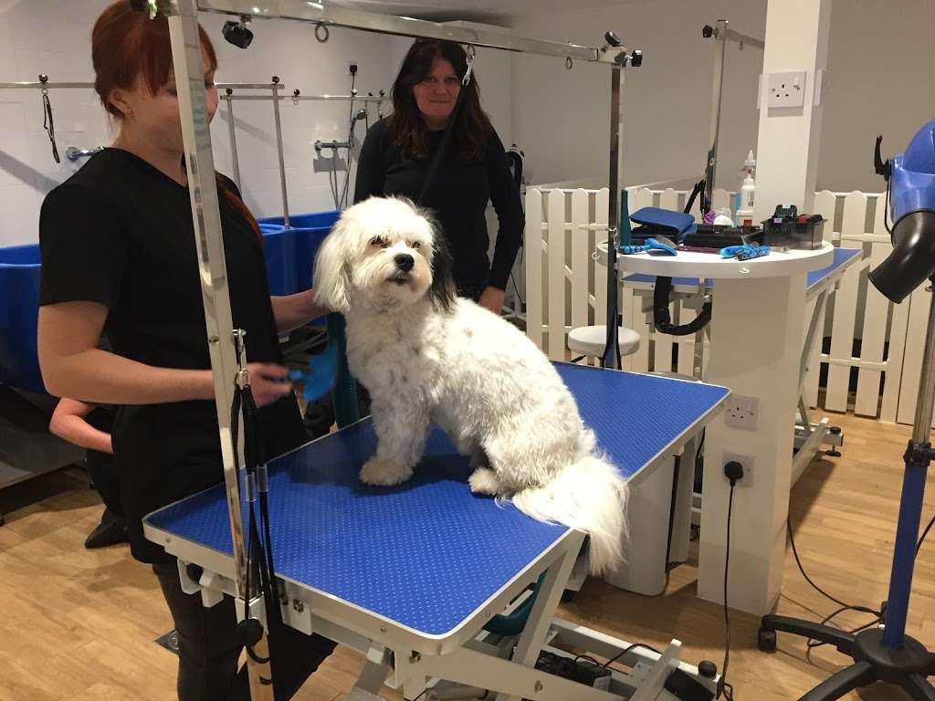 Paws For Thought Groomers & Retreats | Battlers Green Farm, Common Ln, Radlett WD7 8PH, UK | Phone: 01923 545680