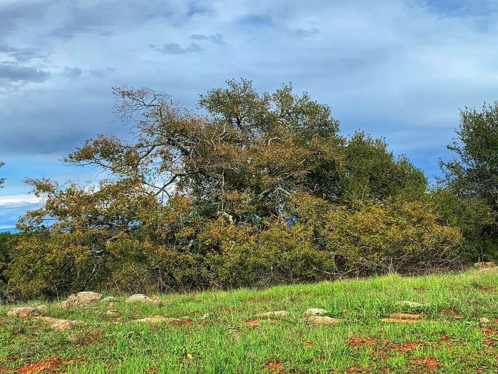 Santa Rosa Plateau Ecological Preserve | 39400 Clinton Keith Rd, Murrieta, CA 92562 | Phone: (951) 677-6951