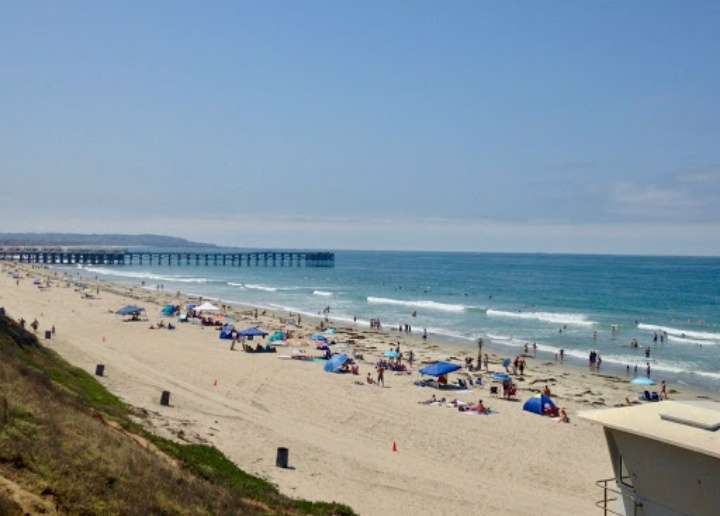 Law Street Beach | 671 Ocean Blvd #601, San Diego, CA 92109, USA