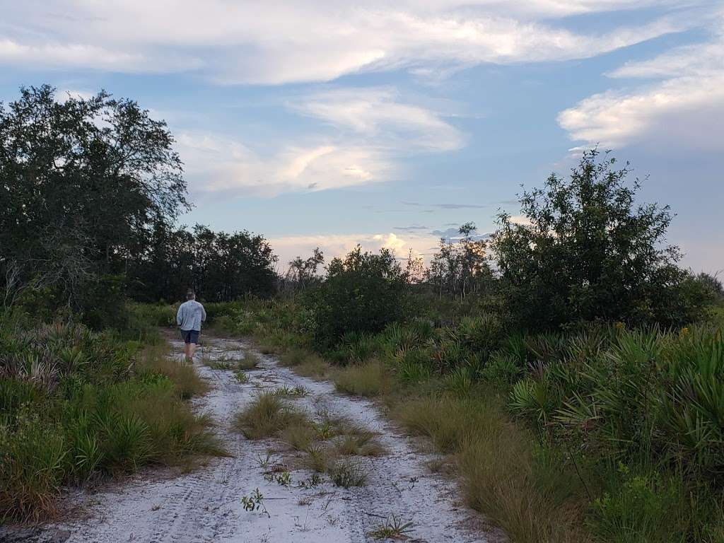 Lakeland Highlands Scrub | 6998 Lakeland Highlands Rd, Lakeland, FL 33813, USA | Phone: (863) 534-7377