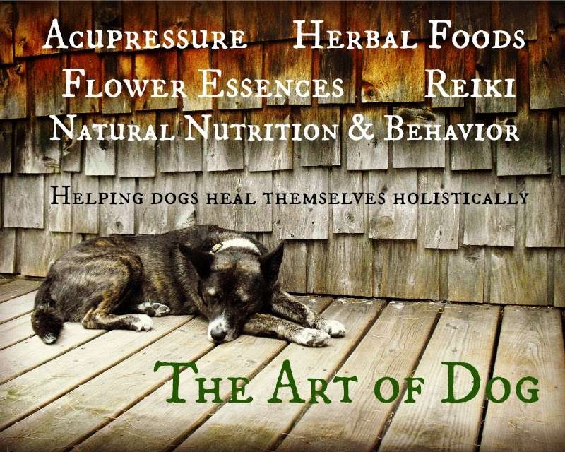 The Art of Dog | 6857 Brooklyn Ave, San Diego, CA 92114, USA | Phone: (760) 212-2331
