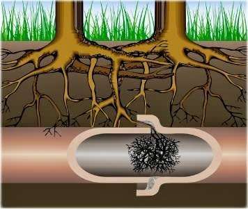 Trenchless Technologies by Zeolla Plumbing & Drain Cleaning | 40 Perry Ave, Stoughton, MA 02072, USA | Phone: (855) 949-3444