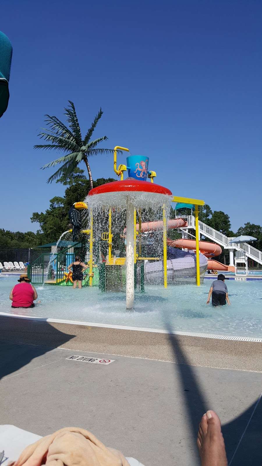 Calypso Cove | 2428 W Main St, Baytown, TX 77520, USA | Phone: (281) 422-1150