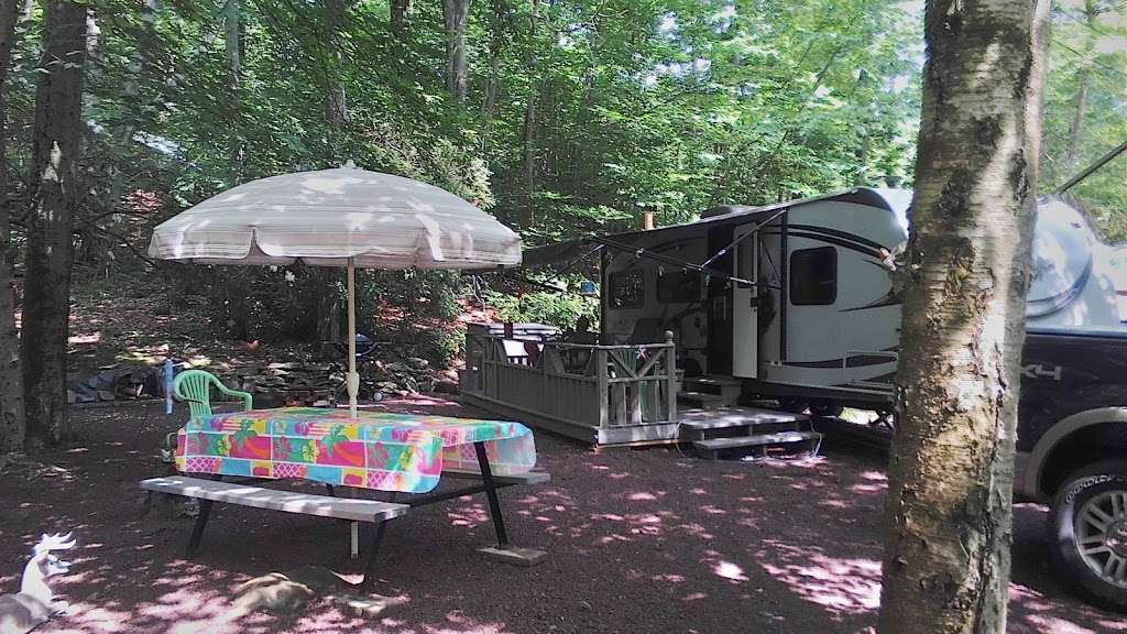 Lehigh Gorge Campground | 4585 State St, White Haven, PA 18661, USA | Phone: (570) 443-9191