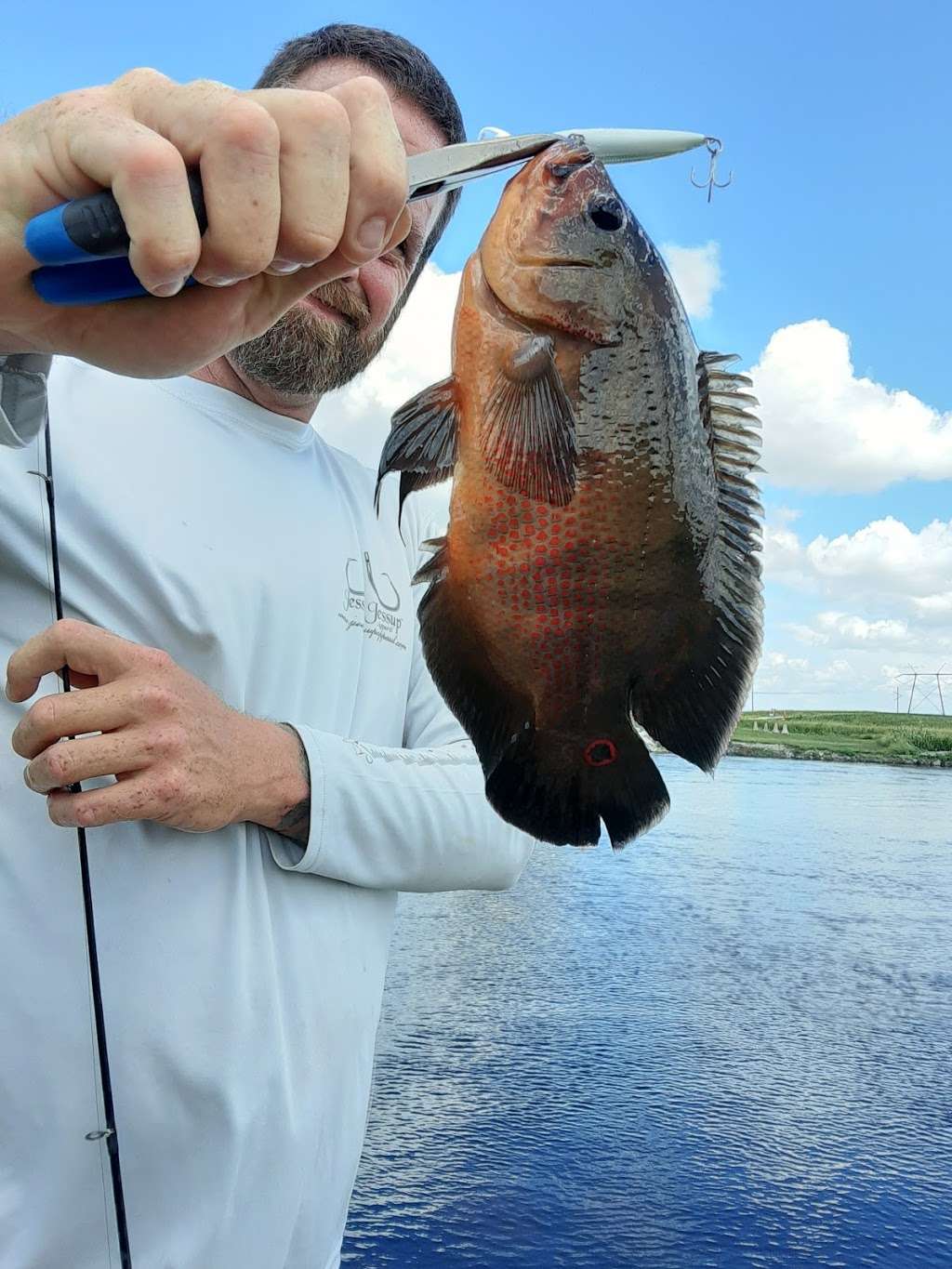 Rotenberger Wildlife Management Area | Florida, USA