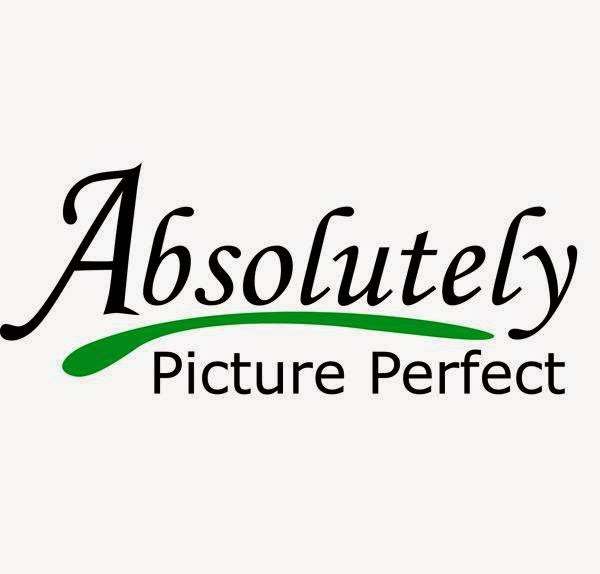 Absolutely Picture Perfect | 6420 Rea Rd, Charlotte, NC 28277, USA | Phone: (704) 544-3456