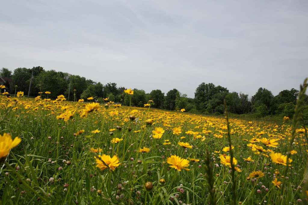 Veterans Park | Chalfont, PA 18914, USA