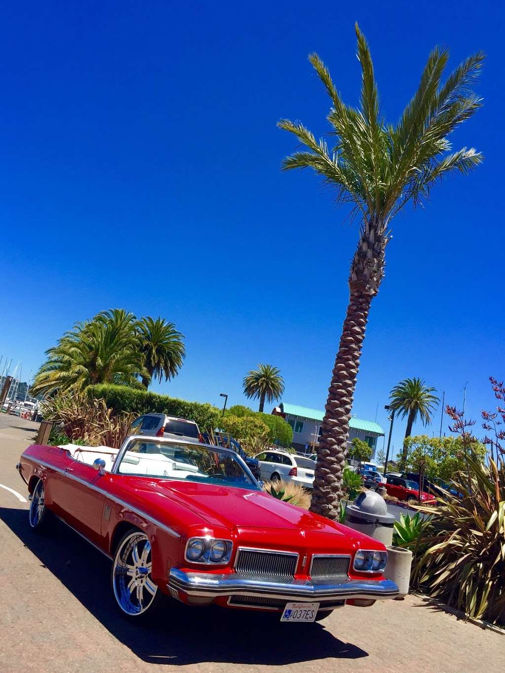 Rental Vintage Classic cars & tours | 67 Manzanita Ave, Novato, CA 94945, USA | Phone: (415) 275-4381