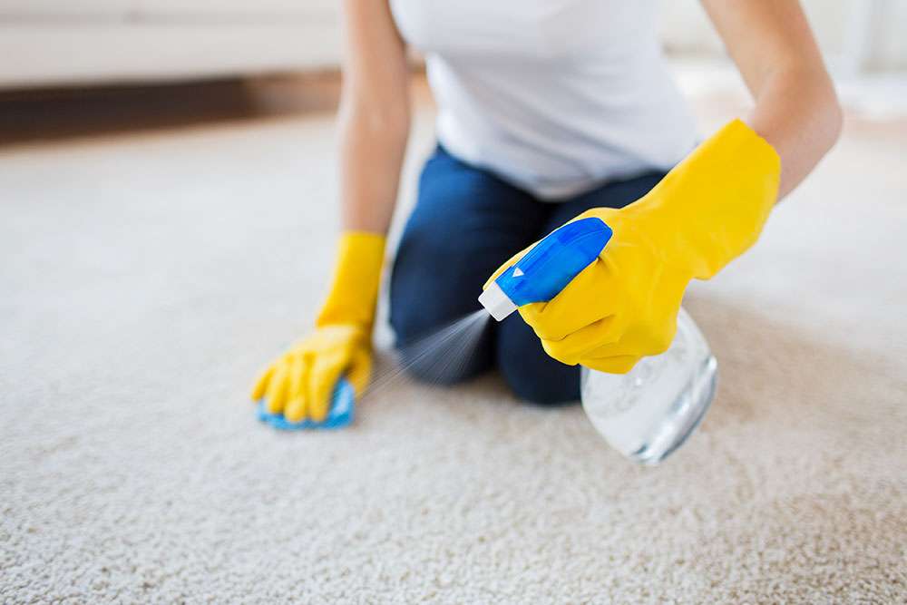 H-B Carpet Cleaning Services | 22311 Brookhurst St, Huntington Beach, CA 92646, USA | Phone: (714) 786-1264