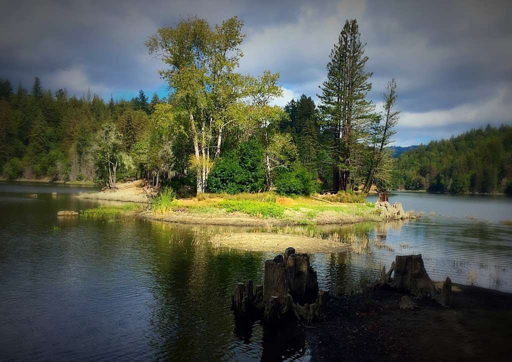 Loch Lomond Recreation Area | 100 Loch Lomond Way, Felton, CA 95018, USA | Phone: (831) 420-5320