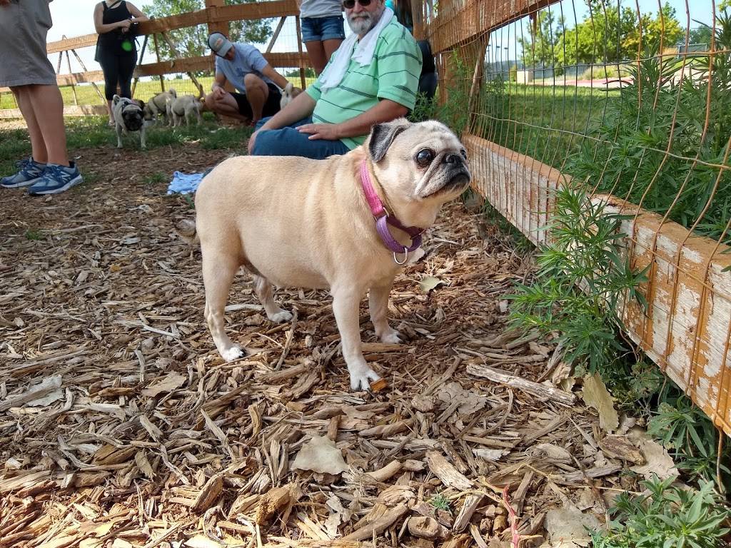 Fossil Creek Dog Park | 5883-5901 S Lemay Ave, Fort Collins, CO 80525, USA | Phone: (970) 221-6660
