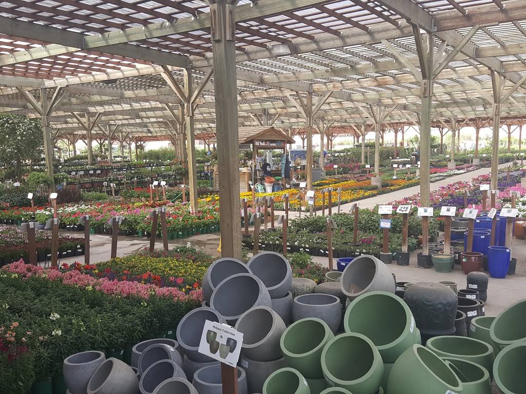 Star Nursery Garden & Rock Center | 8725 S Eastern Ave, Las Vegas, NV 89123 | Phone: (702) 333-7827