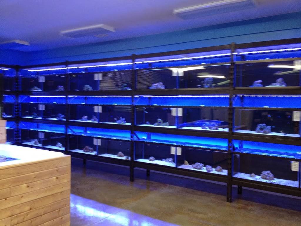 Saltwater Sanctuary | 657 Morganza Rd, Canonsburg, PA 15317 | Phone: (412) 223-6065