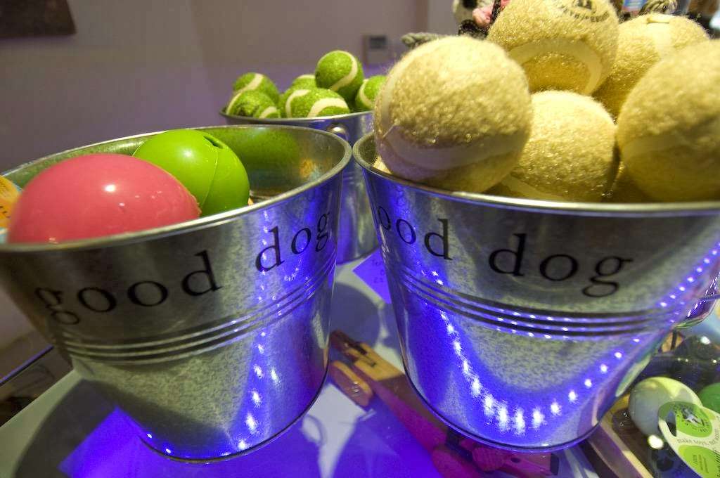 Hair of the Dog London | 24 Highgate High St, Highgate, London N6 5JG, UK | Phone: 020 8340 4030