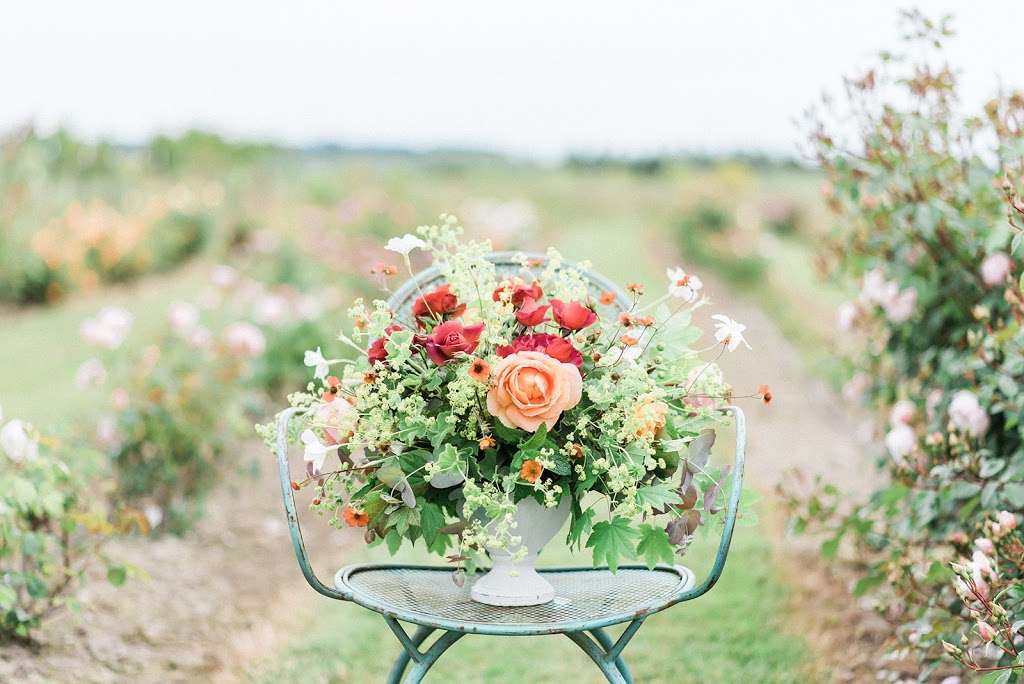 Rose and Twig Floral Design | W1196 Wolf Way, Mukwonago, WI 53149, USA | Phone: (262) 470-5485