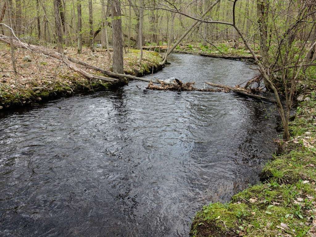 Appalachian Trail | Hewitt, NJ 07421