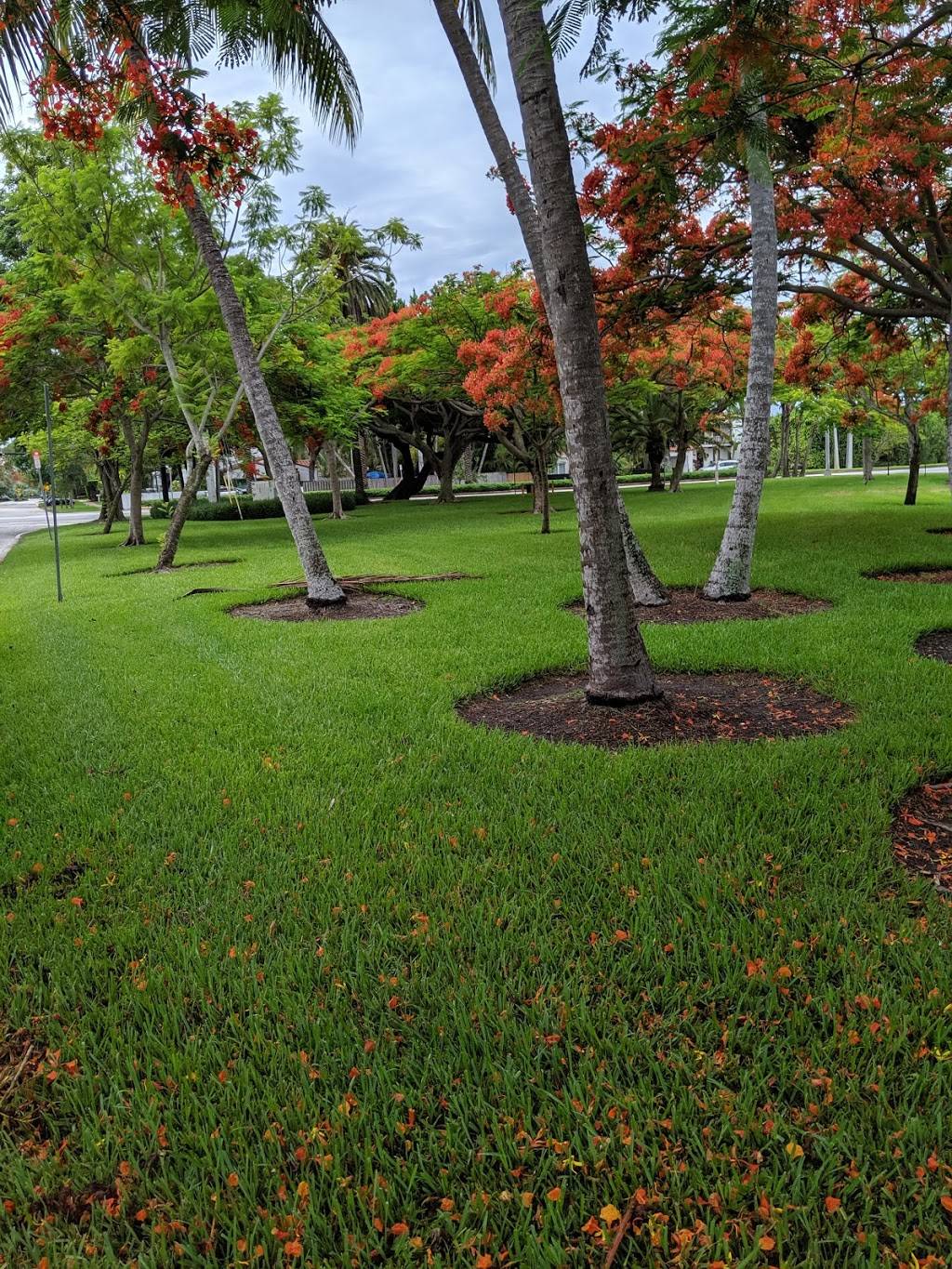 La Gorce Park | 6421 Alton Rd, Miami Beach, FL 33141, USA | Phone: (305) 861-3616