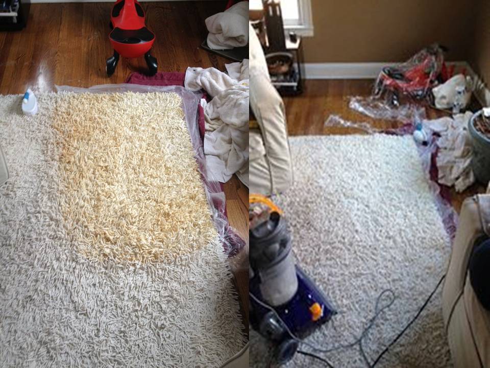 Premier Carpet Cleaning | 5519 NE 49th Ave, Vancouver, WA 98661 | Phone: (360) 356-4500