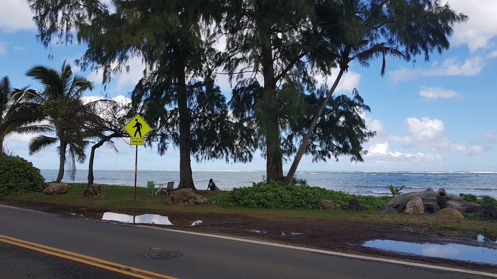 Shrimp Shack | 53 - 360 Kamehameha Hwy, Hauula, HI 96717, USA | Phone: (808) 256-5589