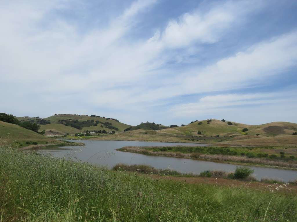 Calero County Park | 23205 McKean Rd, San Jose, CA 95120, USA | Phone: (408) 535-4070