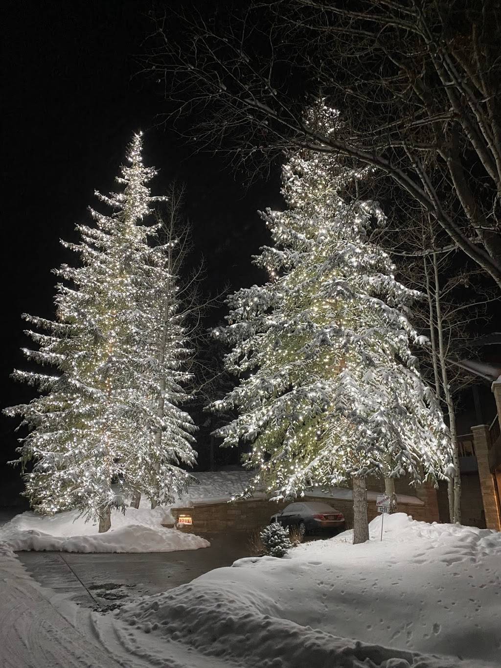 Colorado Christmas Lights | 1579 Marshall Rd, Boulder, CO 80305, USA | Phone: (303) 532-1764