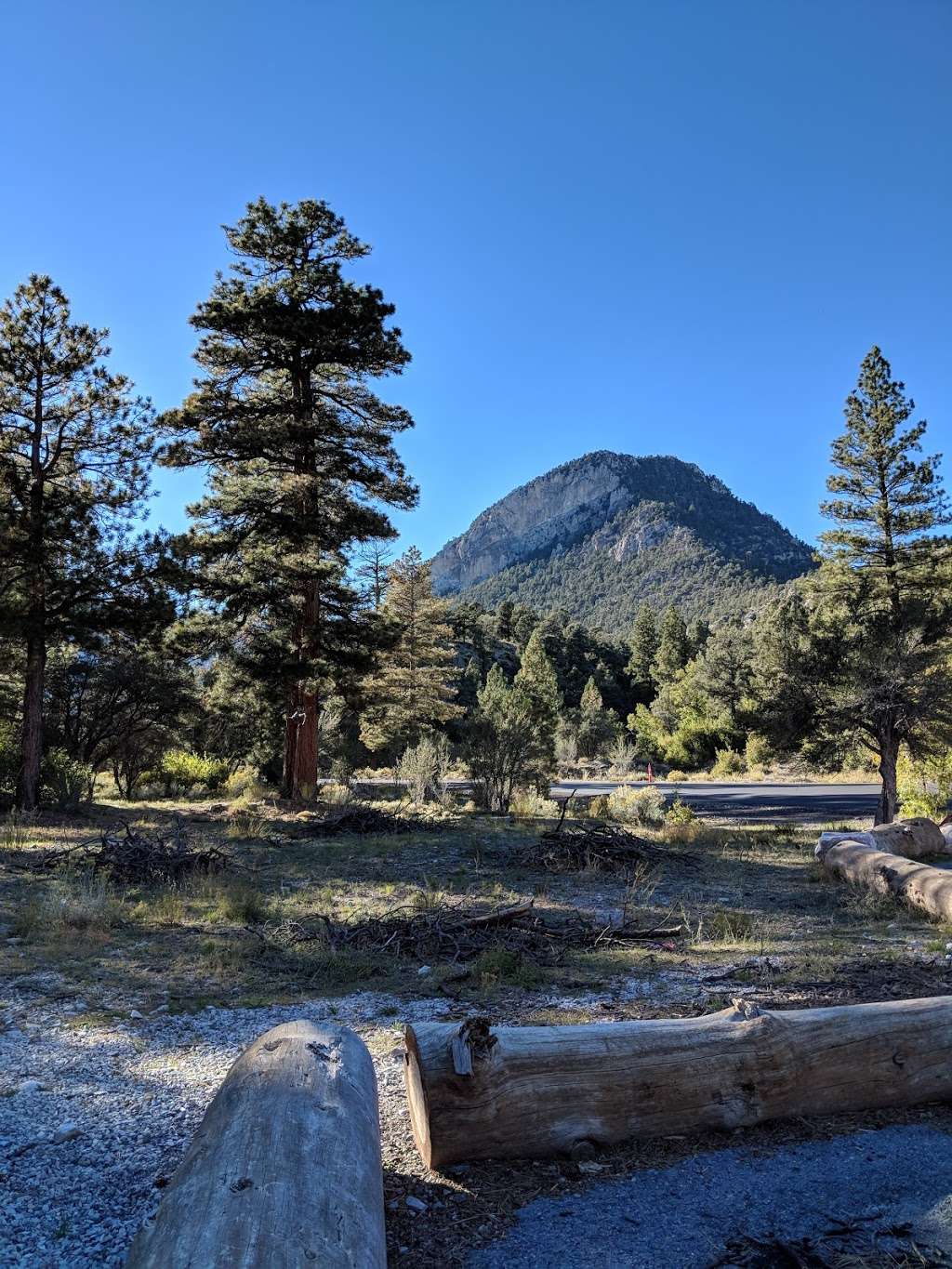 Fletcher Canyon Trailhead | Mt Charleston, NV 89124, USA | Phone: (702) 872-5486