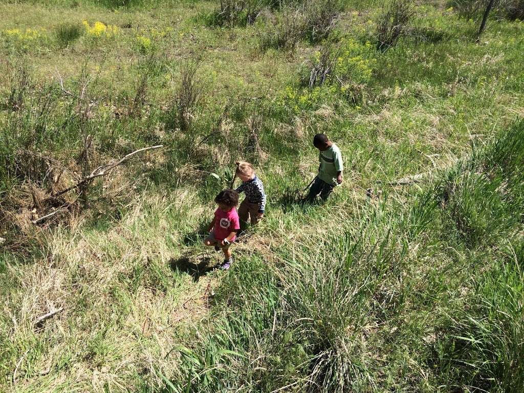 The Nursery School | Bluff Lake Nature Center, 3400 Havana Way, Denver, CO 80238, USA