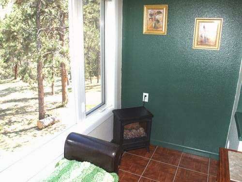 Evergreen Cat Lodge | 32163 Soda Creek Dr, Evergreen, CO 80439, USA | Phone: (303) 679-1245