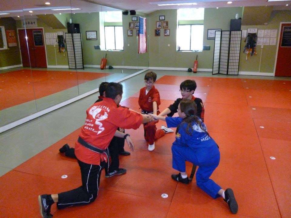 Family Dragon Karate | 54 Westchester Ave, Pound Ridge, NY 10576, USA | Phone: (914) 764-5408