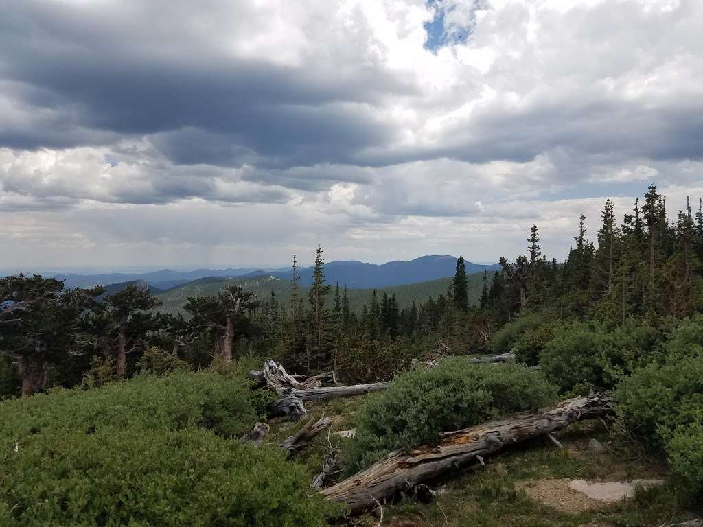 Mount Goliath Natural Area | Mt Evans Rd, Evergreen, CO 80439, USA